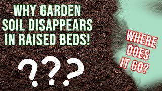 Why Garden Soil Disappears in Raised Beds by Gardenerd 41,587 views 6 months ago 7 minutes, 7 seconds