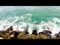 Fishing a perth rock wall big bait big fish