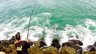 Fishing a Perth Rock Wall BIG Bait Big Fish