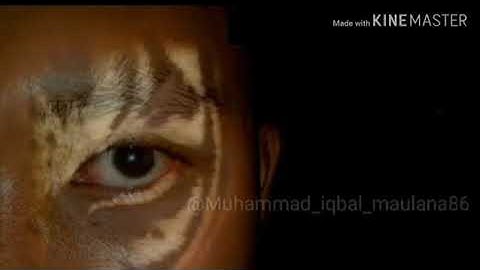 STORY WA MACAN PUTIH