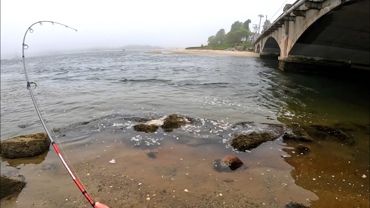 Fishing a Bridge on Cape Cod - What's Biting Here?