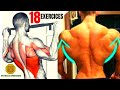 18 BEST BACK EXERCISES TO GET BIGGER BACK FAST / MUSCULATION DOS RÉSULTAT RAPIDE