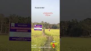 #tujhedekhatoh #mustard field #nature #naturelovers #travel