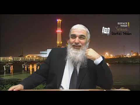 101. Saisir les impulsions spirituelles envoyées par D.