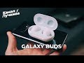 Неделя с Galaxy Buds 2019 / Берём или...?