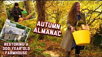 New: The daily diary of the restoration of a 300 year old Scottish farmhouse | Built 1743 #dailyvlog