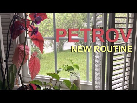 Petrov New Routine Quarantine Demo