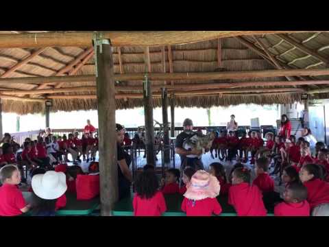 Edzoocational Program