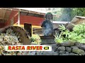 🇯🇲 Chuckys Amazing Riverside Rasta Hostel In Jamaica | Vlog Jamaica 2019