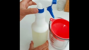 DIY Garden Bugs & Aphids Control Spray