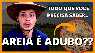 Como usar areia nas plantas?