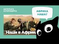 Антонов ничего не знает про Африку // Котомодерн смотрит