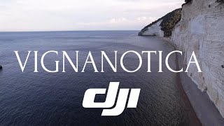 DJI AIR 2S Cinematic footage #djiair2s #nature #dji #drone #sea