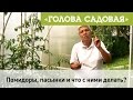 Голова садовая - Помидоры, пасынки и что с ними делать