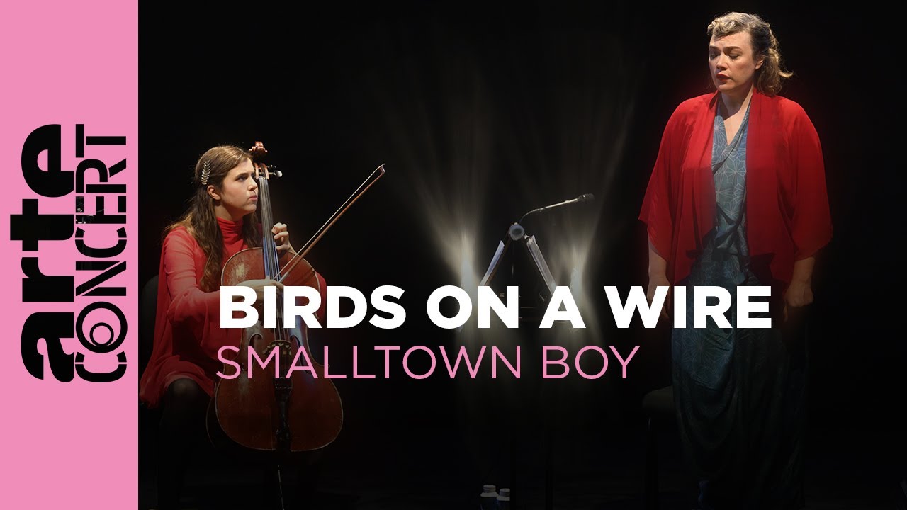 Birds on a Wire – Smalltown Boy – Musée du Louvre – ARTE Concert