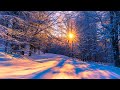 ❄Beautiful Snow Scene + Winter Relaxing Piano Music - Best Sleep Music - Meditation Study Yoga Music