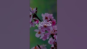 سورة النور : آية 19 /سعد الغامدي__🌸