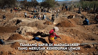 Perburuan Batu Safir di Madagaskar yang Merusak Kehidupan Lemur
