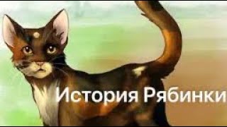 История Рябинки(по просьбе Оля 753)/Коты-воители