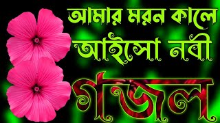 আমার কালে আইসো নবী কিনারে গজল || খুবই সুন্দর প্রাণ কাঁড়া বাংলা গজল || Bangla Gojol || S M Gojol 24