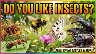 Entomologist Tells about New Species and Entomology Collection: Beetles, Hornets, Moths, Spiders.