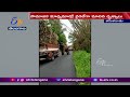 Elephant eats sugarcane from truck, video goes viral