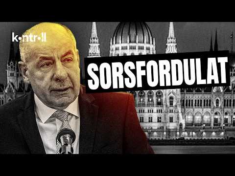 Sulyok eltávolításához egyértelmű alkotmányos indokok kellenek // Somody Bernadette