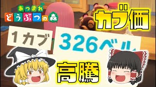 【あつ森】カブ価高騰キターーー！みんな売れ売れー！ゆっくり達のあつまれどうぶつの森 part12