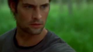 LOST  Sawyer kills a Polar Bear