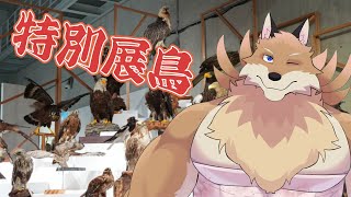 【特別展鳥に行ってきた話】鳥ってかわいくていいよね～🦊【獣Vtuber】