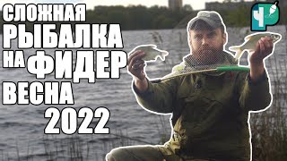 Сложная рыбалка на фидер. Весна 2022