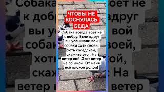 #shorts# Чтобы не коснулась беда #рекомендации#подпишись#заговоры#приметы#шепотки#обереги#магия