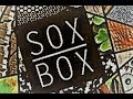 Episode 1706 unboxing odd sox mystery box  oddsoxofficial oddsox