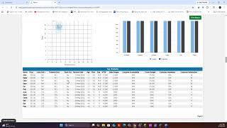 CapSim Capstone 2 Production Decisions Demo