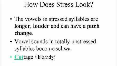 VideoEightPartTwo 0001