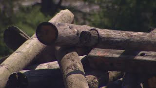 State officials removing toxic debris from Camano Island