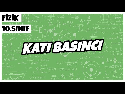 10.Sınıf Fizik - Katı Basıncı | 2022