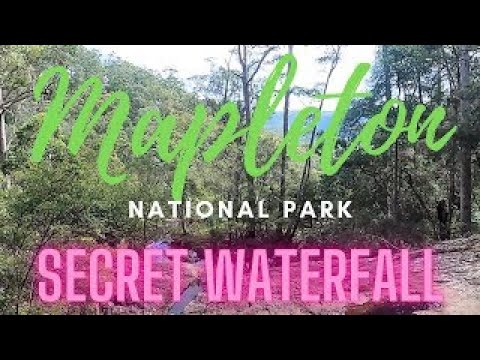 Sunshine Coast Mapleton National Park. Secret Waterfall - YouTube