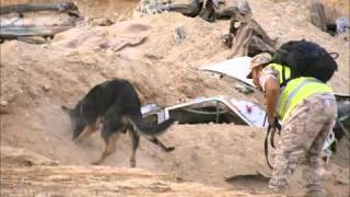 Best Clip Of The Most Powerful Arab State