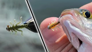 Мармеладная Личинка Веснянки с Новыми Лапками! Fly Tying Stone Fly  Nymph