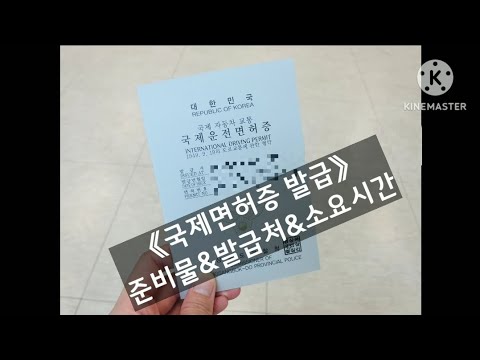 국제면허증 발급 온라인vs방문 준비물 소요시간 