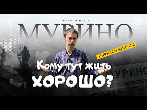 Обзор Мурино - все плюсы и минусы жизни в "человейнике"