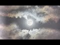 The Moon