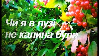 Чи я в лузі не калина була. Українська народна пісня.  UA Ukrainian Folk music