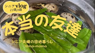 『シニア夫婦の団地暮らし』真の友達、何人いるかな？/気の置けない友人のリクエストに応える/
