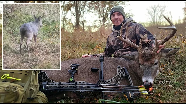 Didn't Go 20! Perfect Shot, INSANE Blood! | 2025 Urban Archery 8 Point