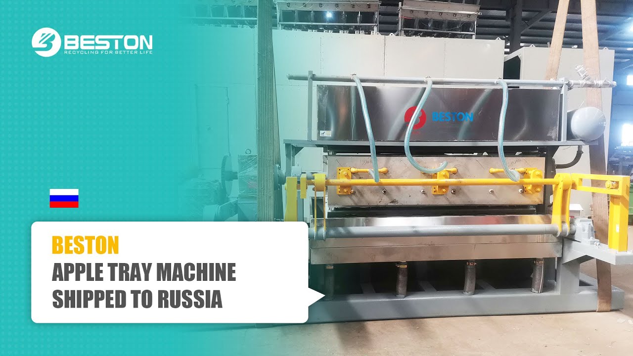 Delivery of BTF6-8 Beston Apple Tray Making Machine with Metal Dryer in February 2022