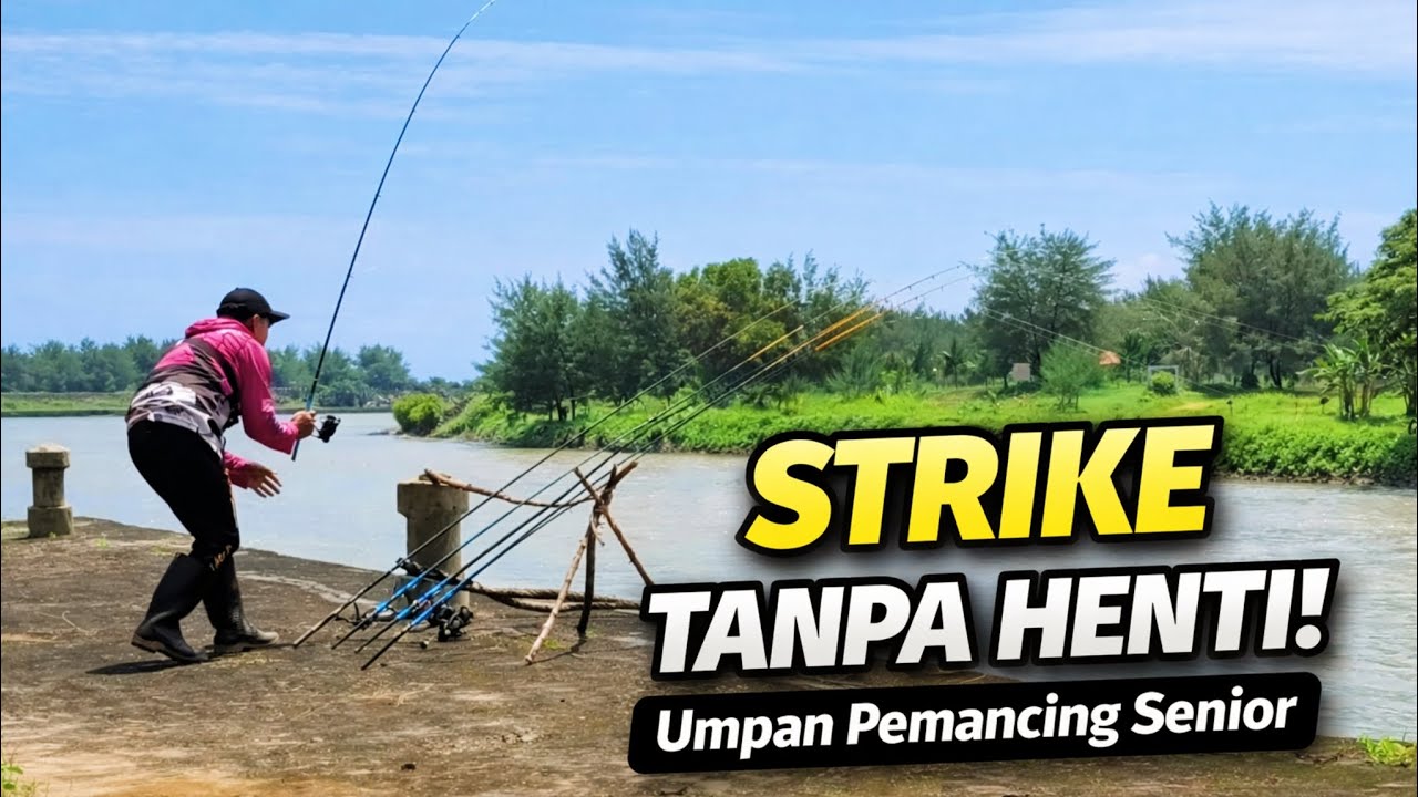 FISHING ADVENTURE Ep.297‼️Ketemu Pemancing Senior! Umpannya Sederhana Tapi Hasilnya Bikin Kaget