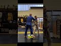 Kouchi gari
