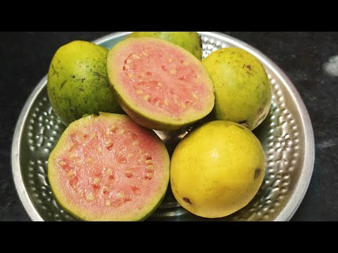 guava-juice-recipe